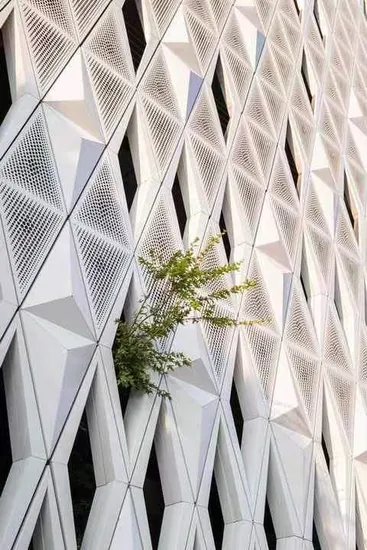 Aluminum Building Material Facade Wood Wall Cladding Metal Perforated Curtain System Composite Wall Panel